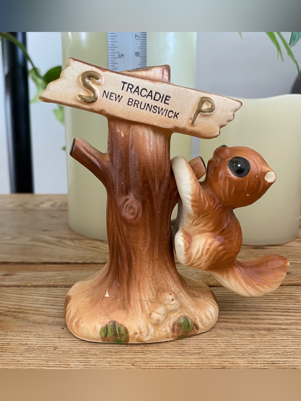 Vintage Tracadie New Brunswick Squirrel & Tree Salt & Pepper Set Japan Missing 1